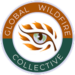Circular logo with an abstract orange and brown flame resembling an eye at the center. The top ring reads GLOBAL WILDFIRE and the bottom ring reads COLLECTIVE on a green background.