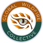 A circular logo with Global Wildfire Collective text around an illustration of an eye. The eye’s iris depicts a globe and the upper eyelid is shaped like flames. The top background is brown, the bottom is green.