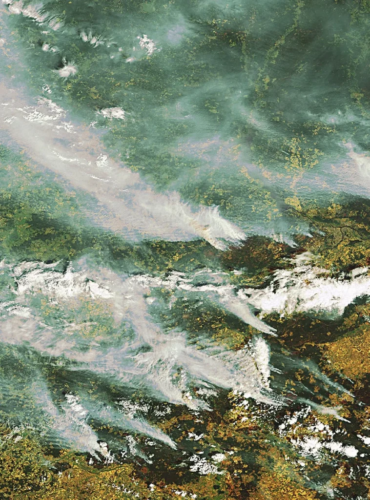 GWC forum facilitates 1