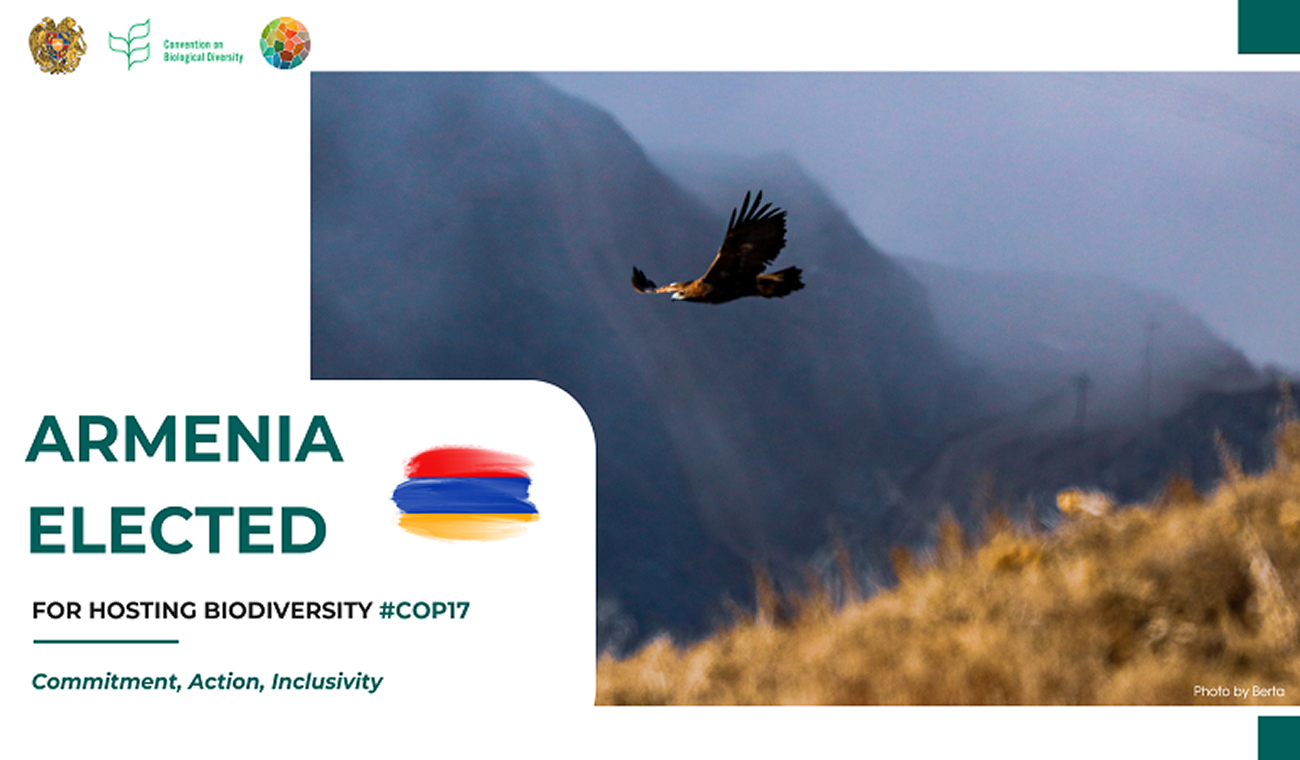 COP17 United Nations Convention on Biological Diversity