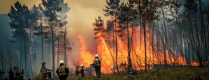 Firefighters in protective gear stand in a forest as large flames and thick smoke engulf trees in the background during a wildfire.
