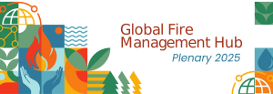 Colorful illustrated banner with fire, hands, leaves, waves, and globe icons on the left, and text on the right reading Global Fire Management Hub Plenary 2025.