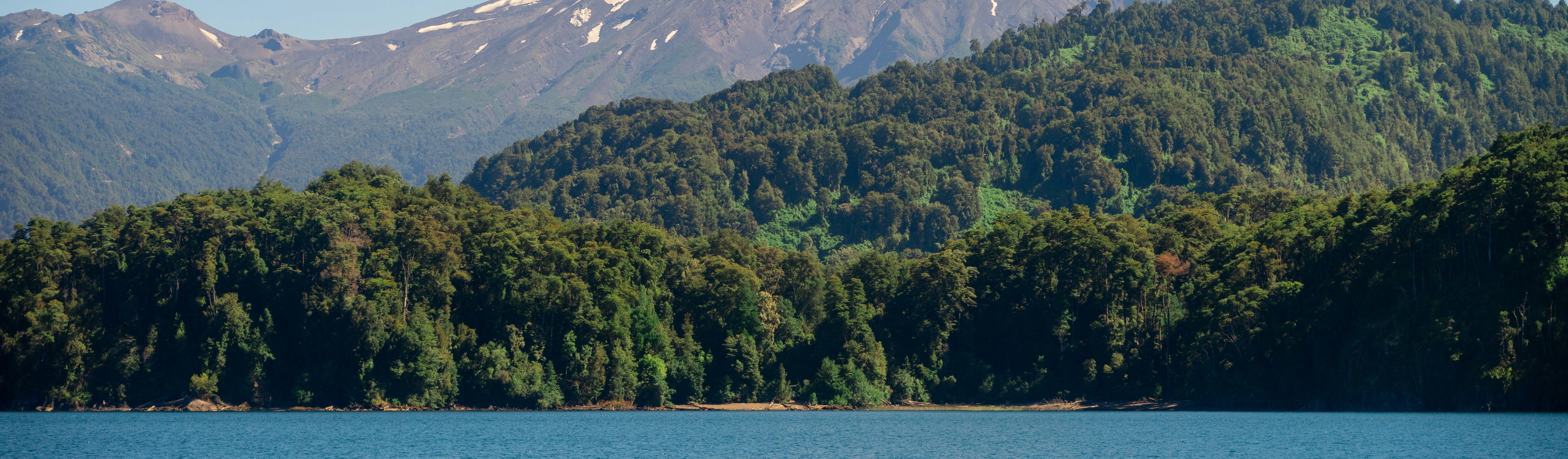 Snow-capped volcanic mountain rises above dense green forest with a clear blue lake in the foreground, under a clear sky.