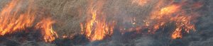 A person in green protective clothing and a helmet stands near a field of tall dry grass on fire, with orange flames and smoke spreading across the ground.