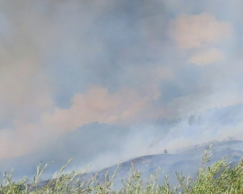 A large plume of dark smoke rises above hills covered in dry vegetation, with green bushes in the foreground and a clear blue sky overhead.