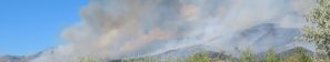 A large plume of dark smoke rises above hills covered in dry vegetation, with green bushes in the foreground and a clear blue sky overhead.
