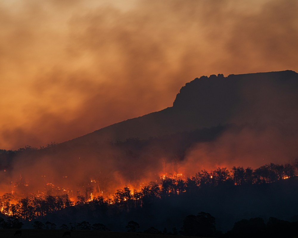 A wildfire burns through a forested hillside at dusk, sending thick smoke and orange flames into the air beneath the silhouette of a distant mountain.