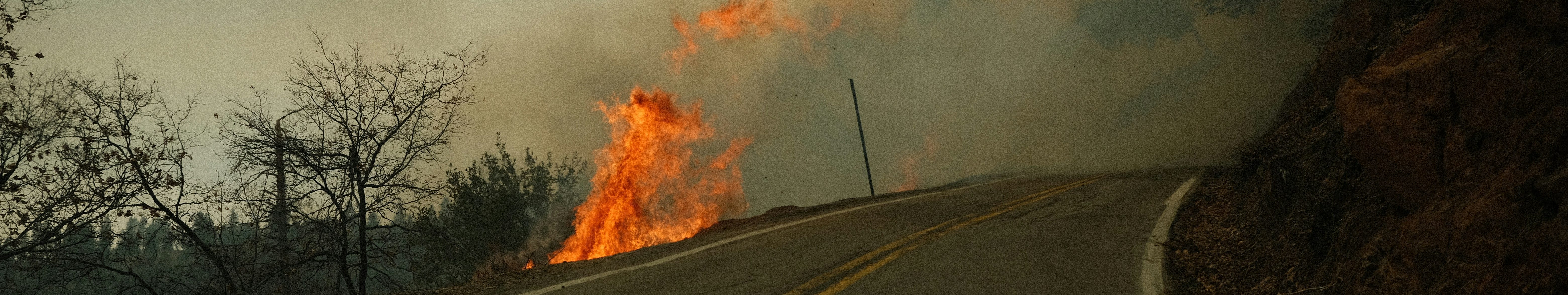 A wildfire burns near a winding road, with flames and heavy smoke rising beside the pavement. Leafless trees and dry vegetation line the hillside under a hazy sky. Photo taken from inside a vehicle.