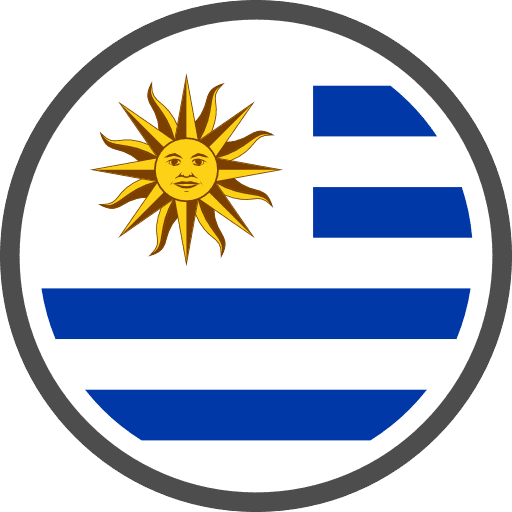 United States Flag