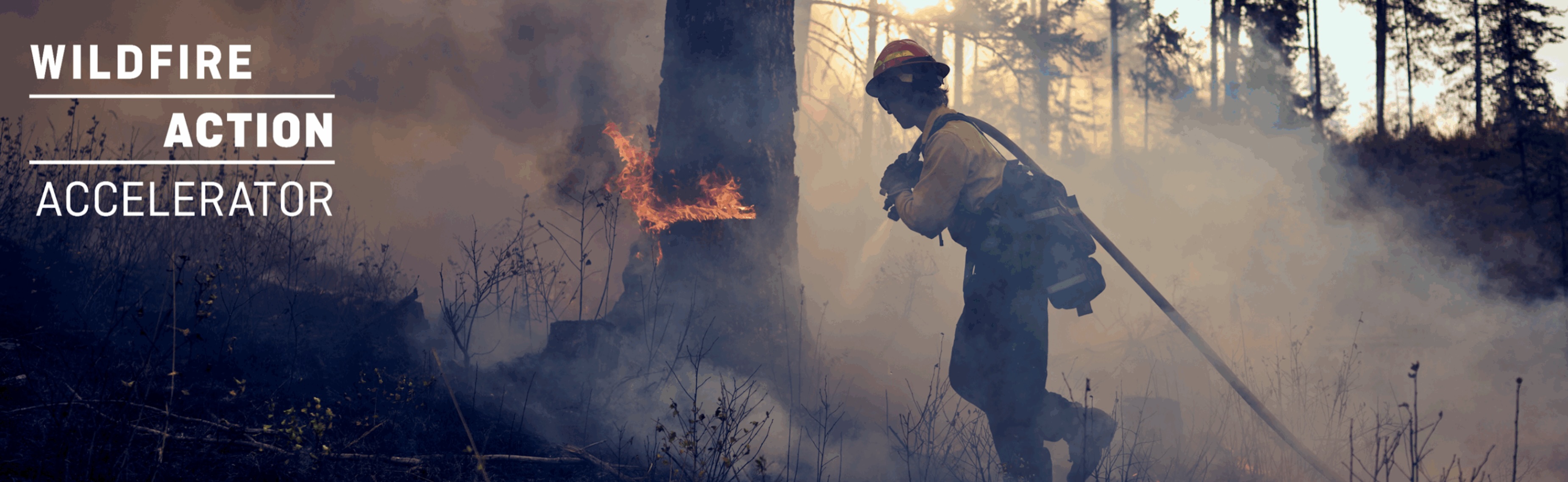 International Workshop of the Wildfire Action Accelerator – Forest Governance Lab for Wildfire Resilience